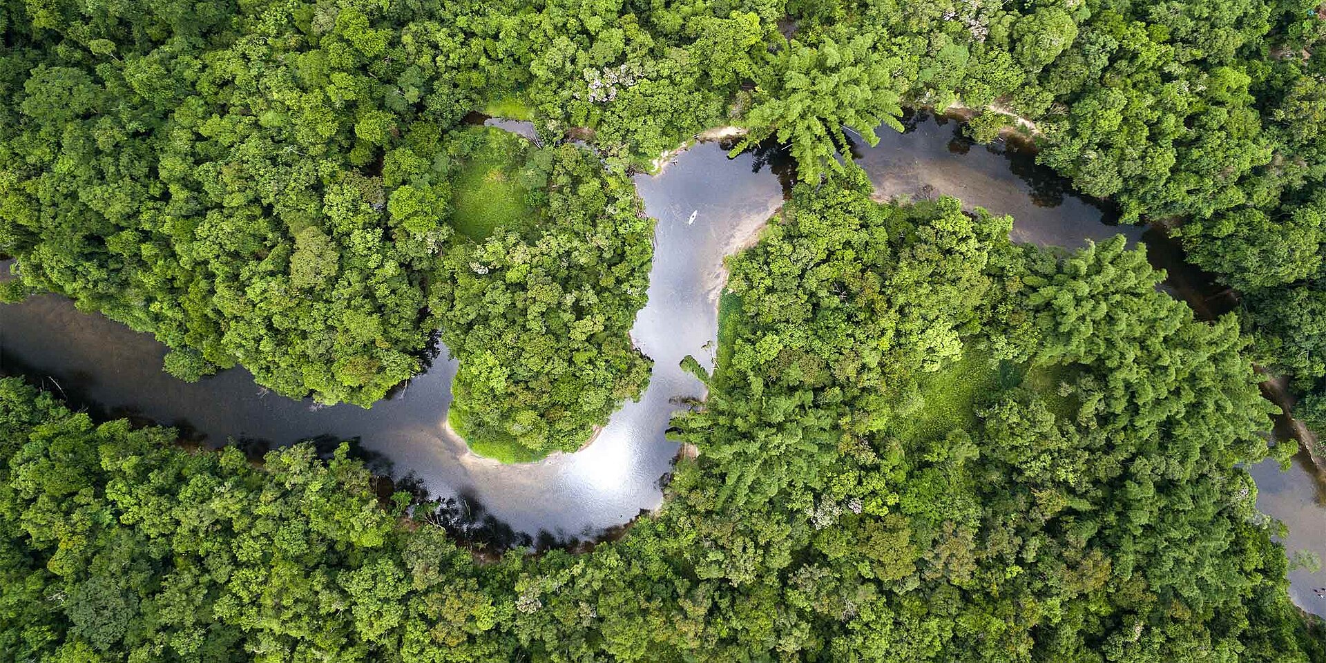 LEMKEN Klimaschutz Regenwald