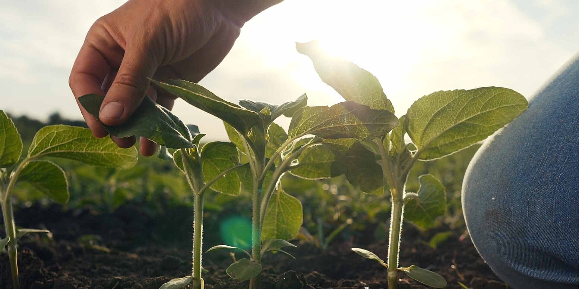 LEMKEN ökologische Verantwortung breit LEMKEN ökologische Verantwortung breit