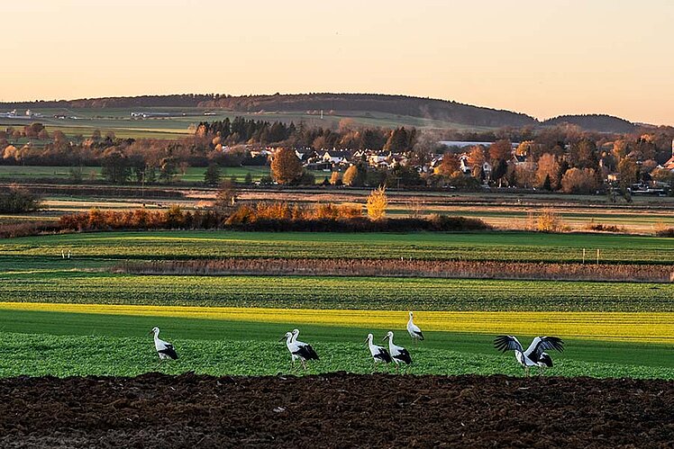 Agrovision Philosophie Agrovision Philosophie