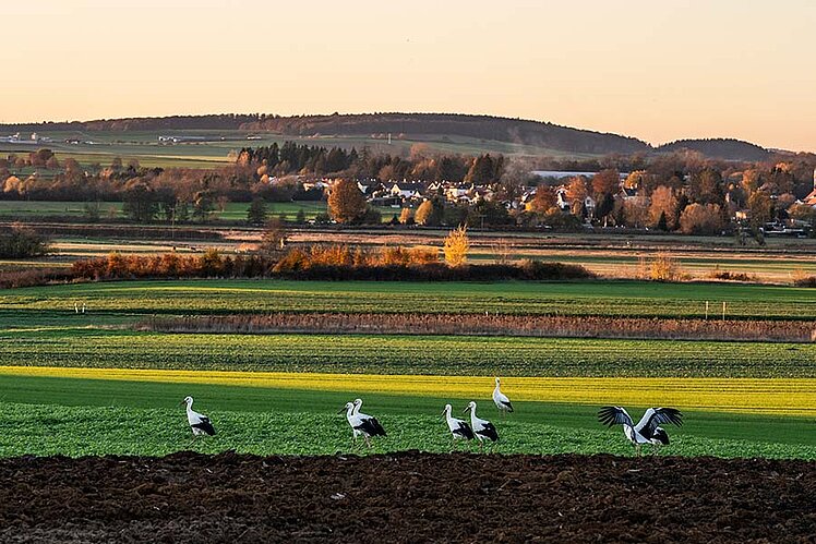 Agrovision Philosophie