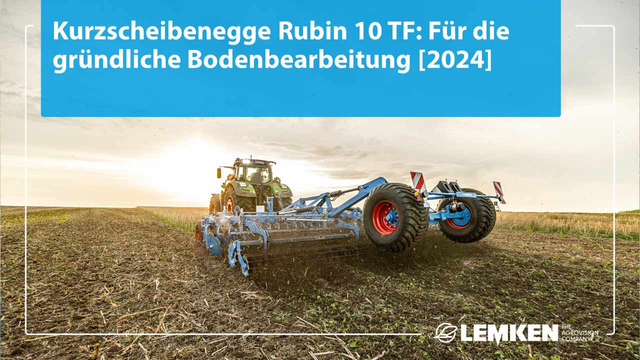 Titelbild Rubin 10 TF Titelbild Rubin 10 TF