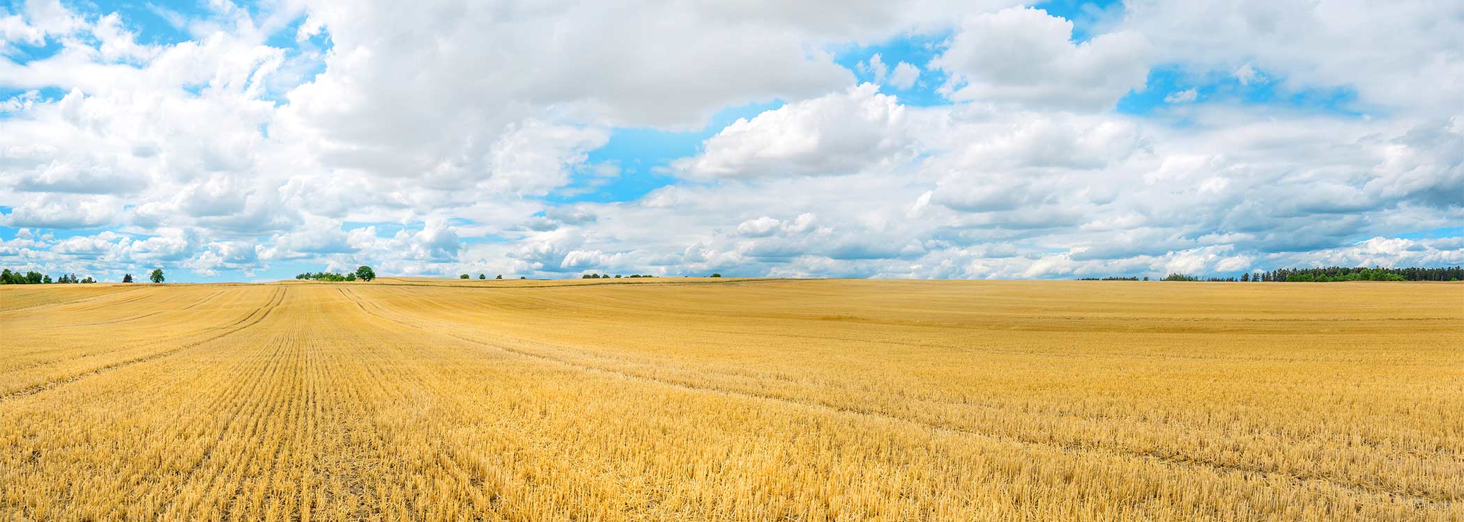 LEMKEN Agrovision LEMKEN Agrovision