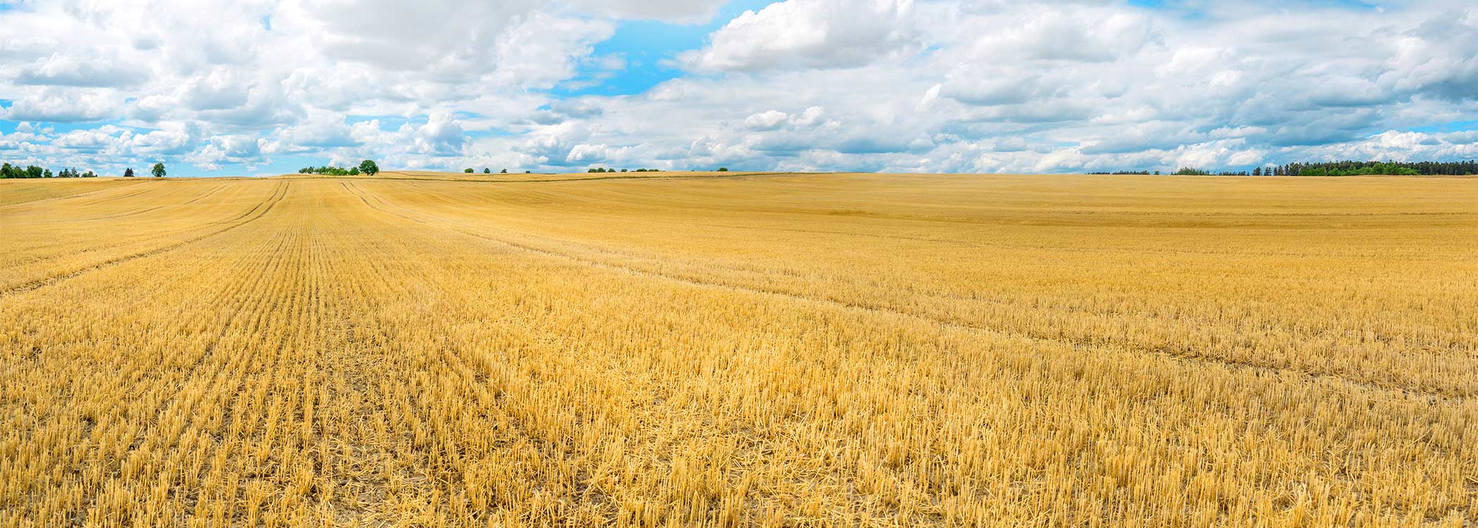 LEMKEN Datenschutz LEMKEN Datenschutz