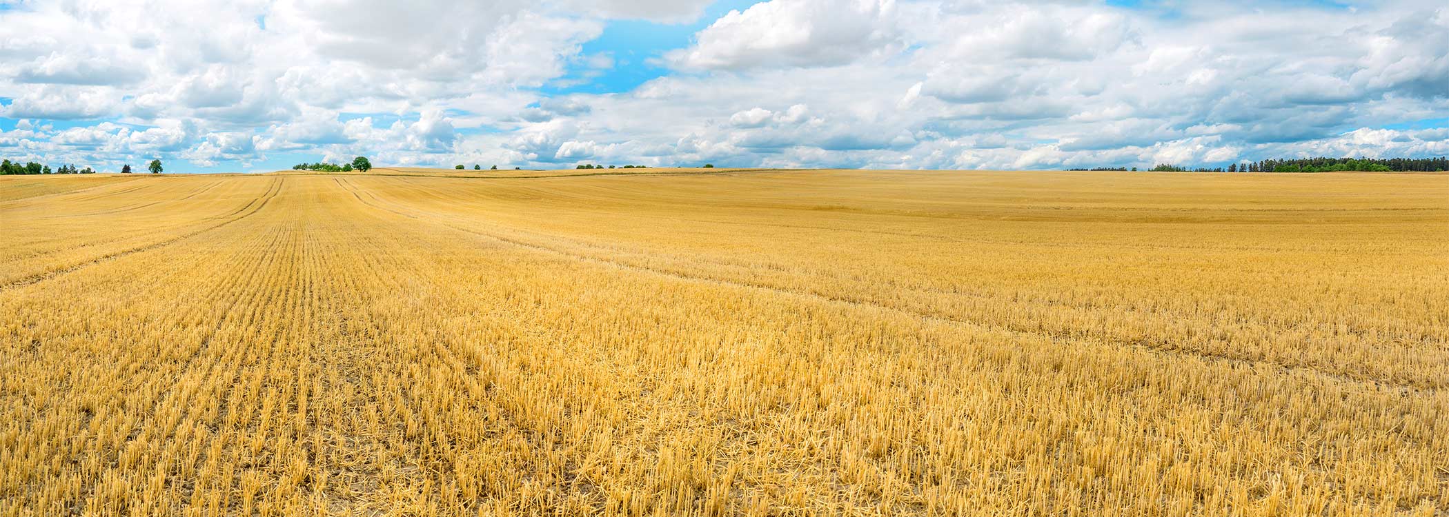 LEMKEN Datenschutz